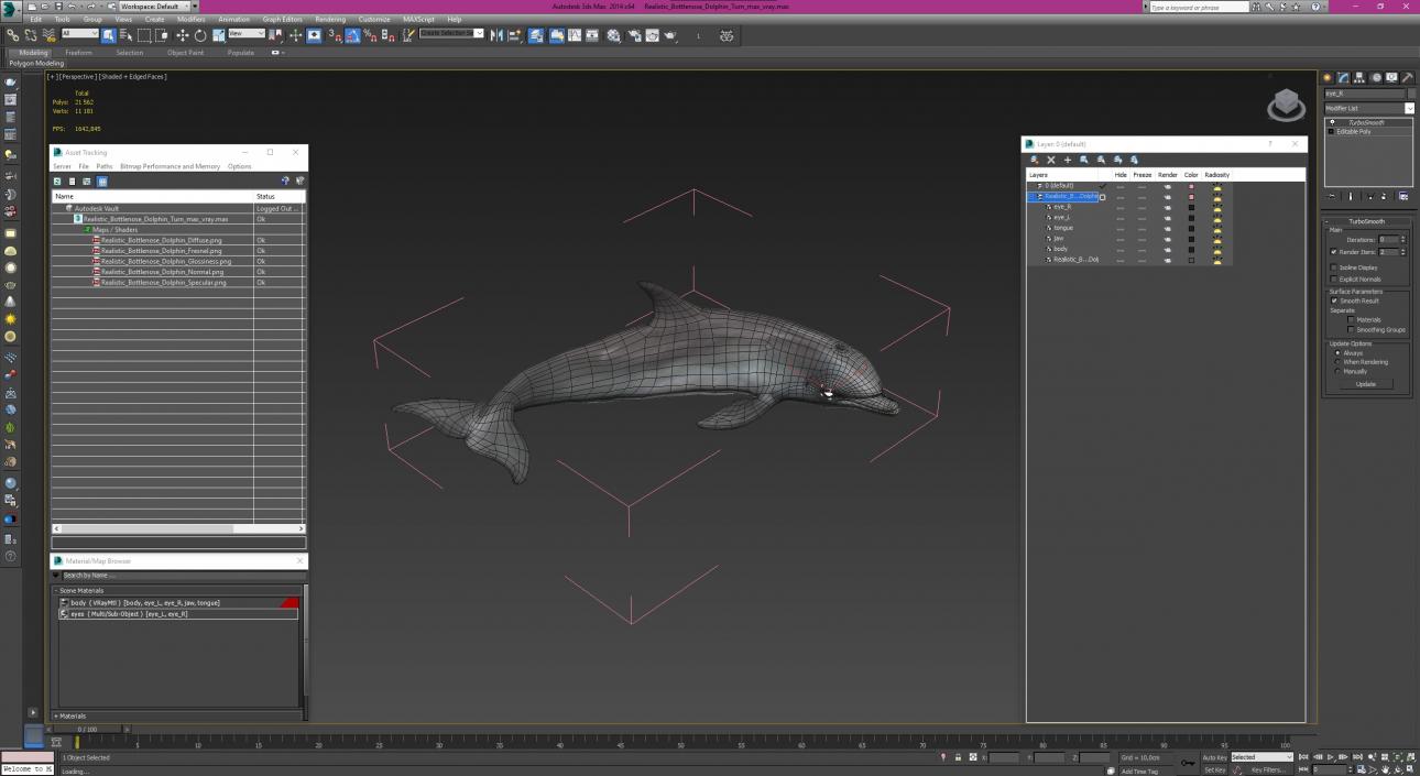 3D Realistic Bottlenose Dolphin Turn model