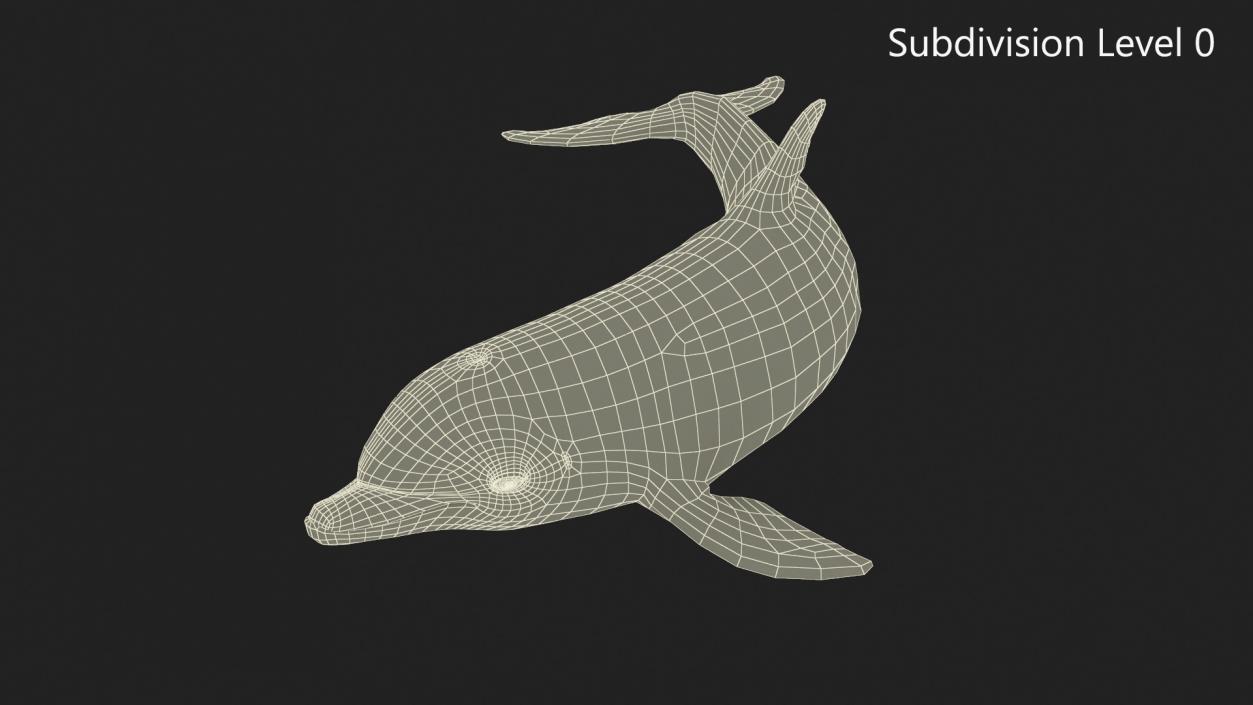 3D Realistic Bottlenose Dolphin Turn model