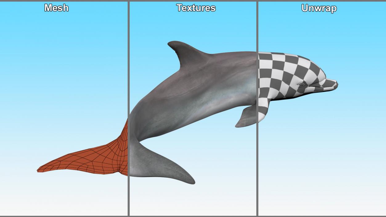 3D Realistic Bottlenose Dolphin Turn model