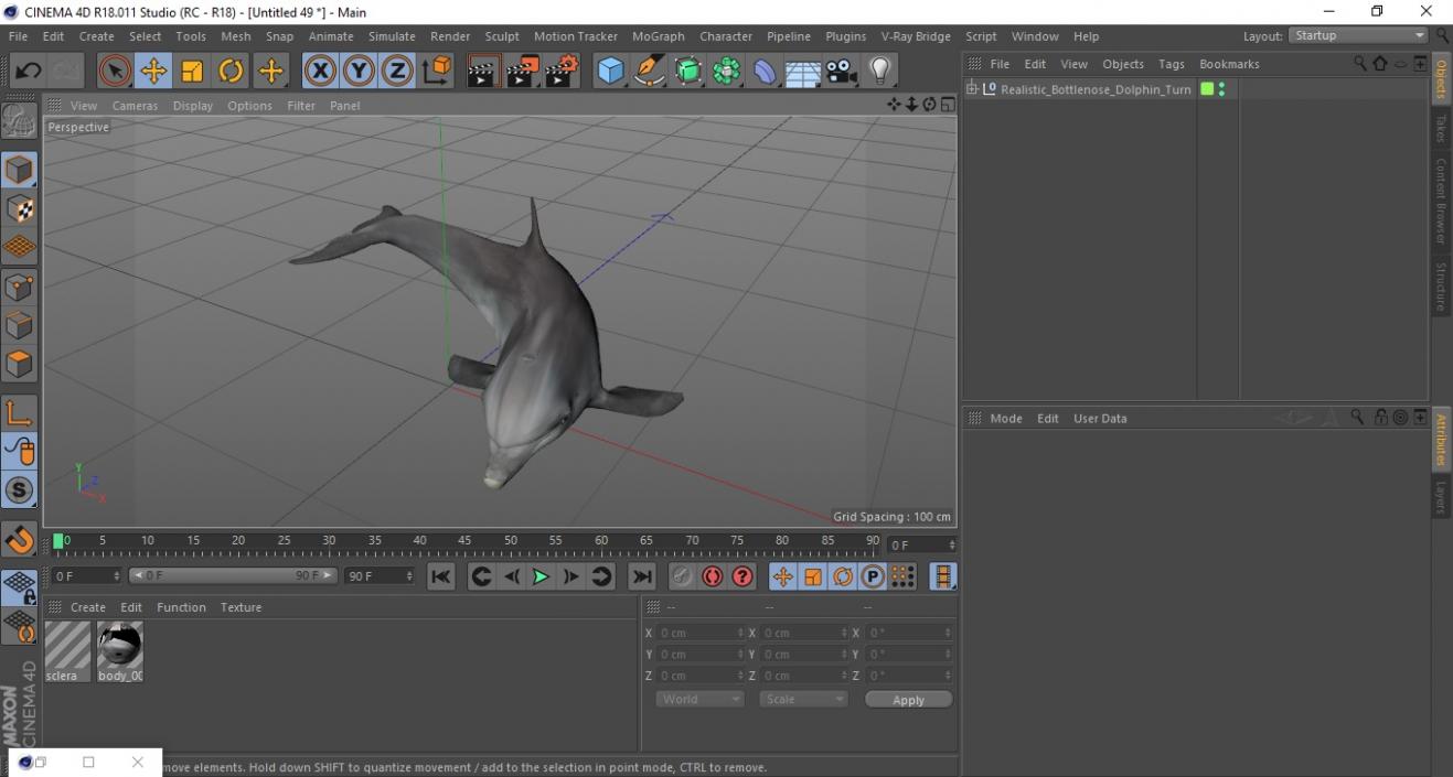 3D Realistic Bottlenose Dolphin Turn model