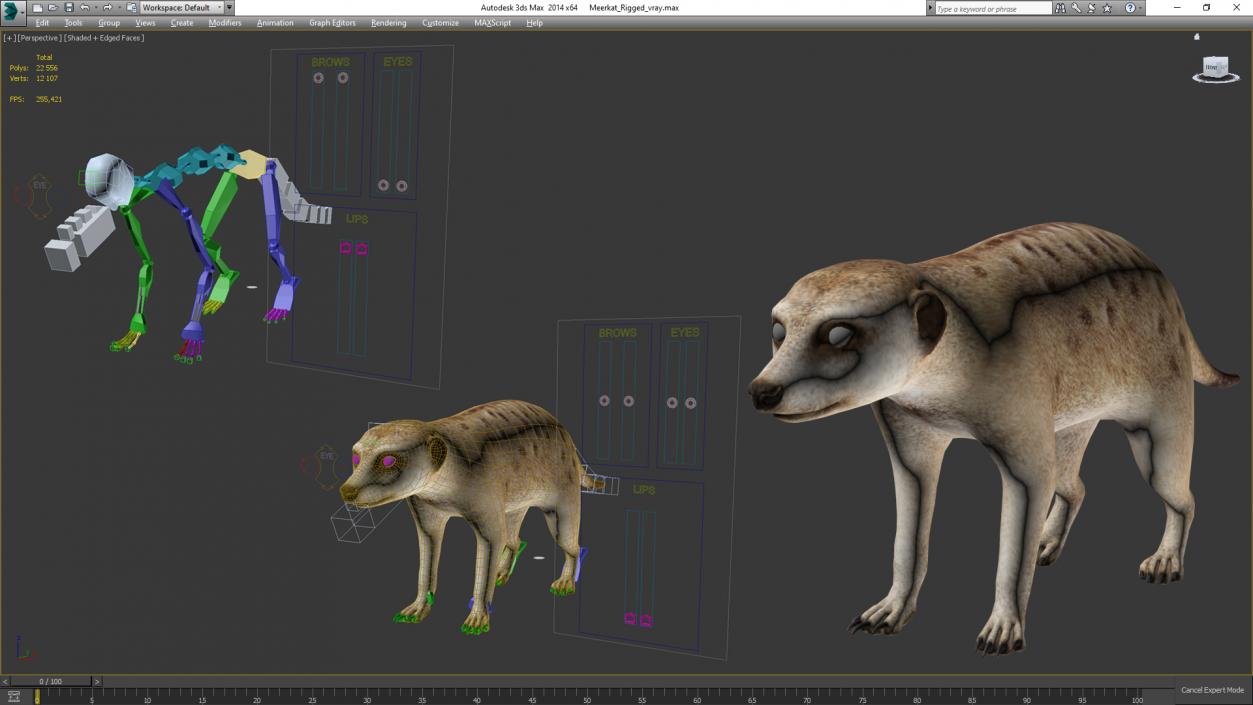 Meerkat Rigged 3D model