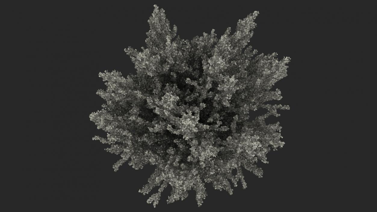 3D Ginkgo Tree Yellow model