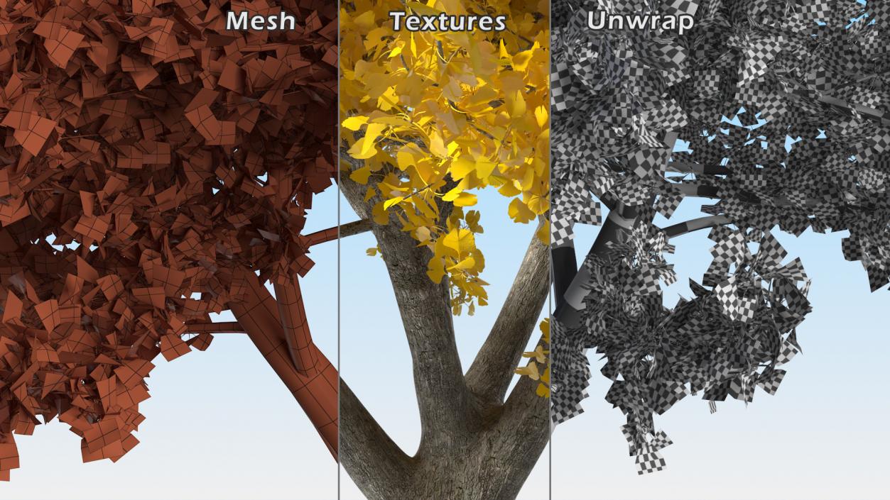 3D Ginkgo Tree Yellow model