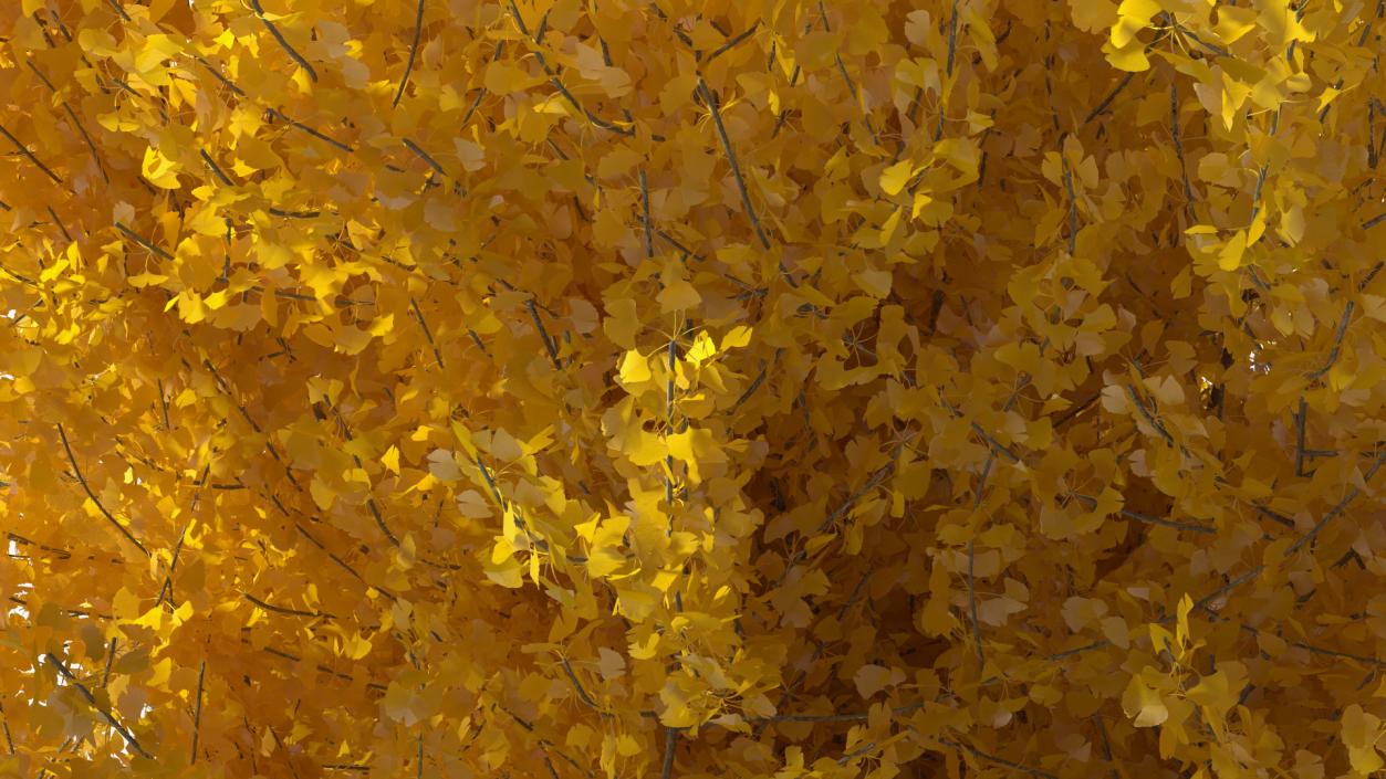 3D Ginkgo Tree Yellow model