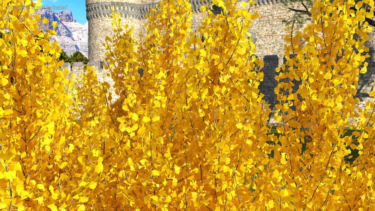 3D Ginkgo Tree Yellow model