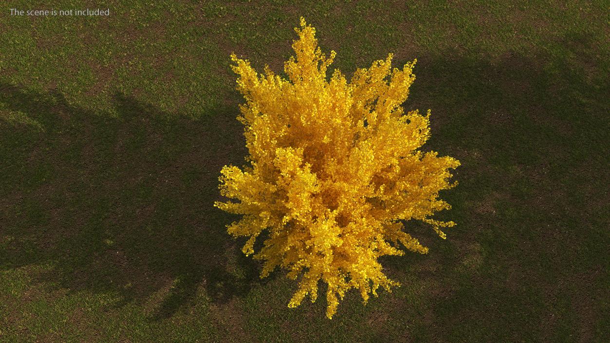 3D Ginkgo Tree Yellow model