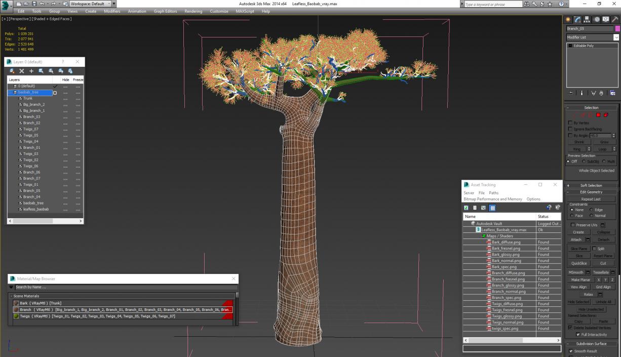 3D model Leafless Baobab