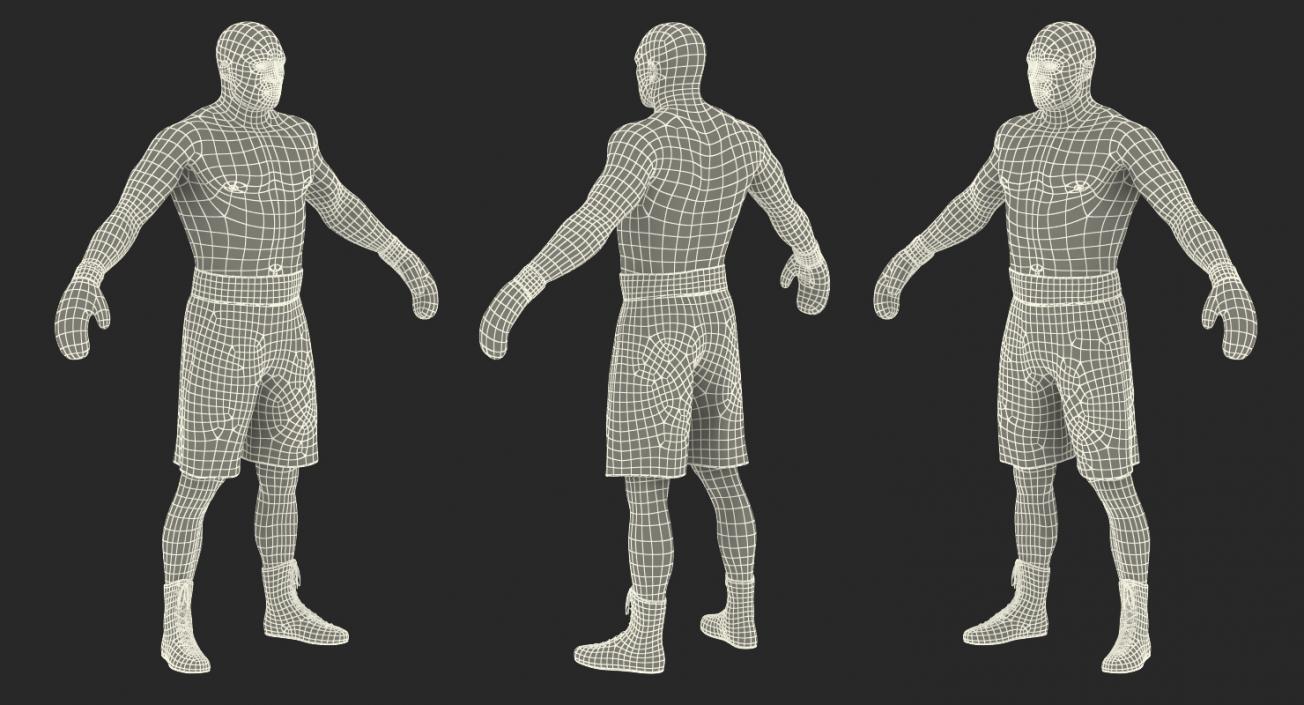 African American Boxer Rigged 3D model