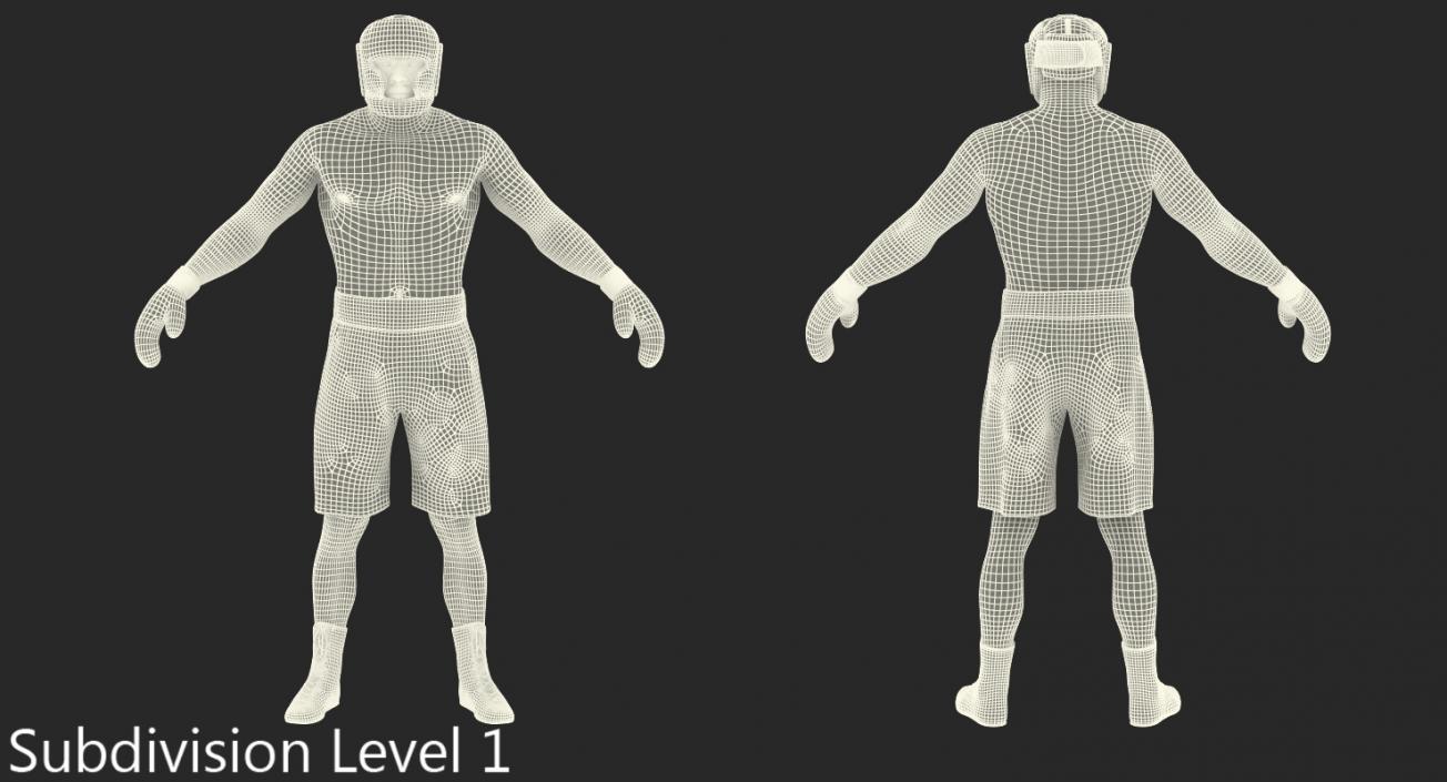 African American Boxer Rigged 3D model