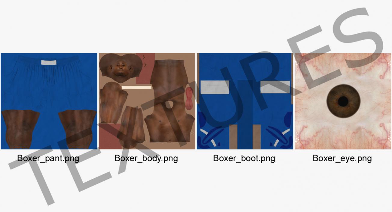 African American Boxer Rigged 3D model