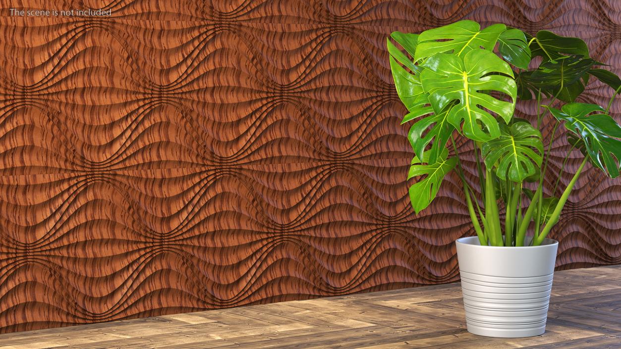 Wall Panel Circular Wave Wood 3D model