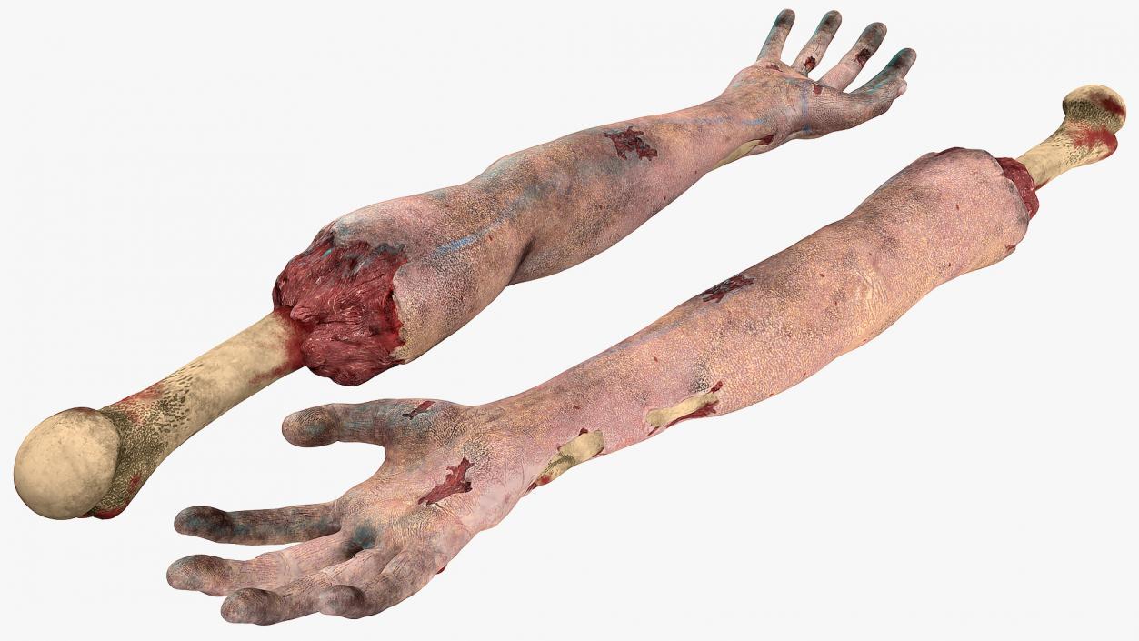 Single Zombie Arm 3D