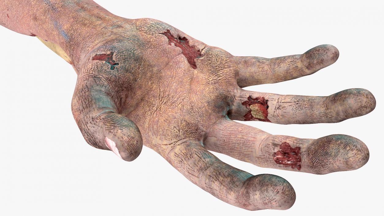 Single Zombie Arm 3D