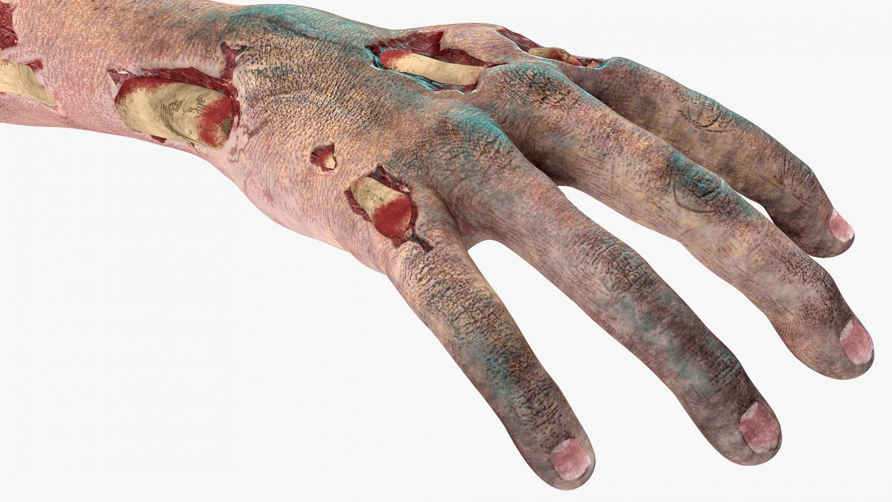 Single Zombie Arm 3D