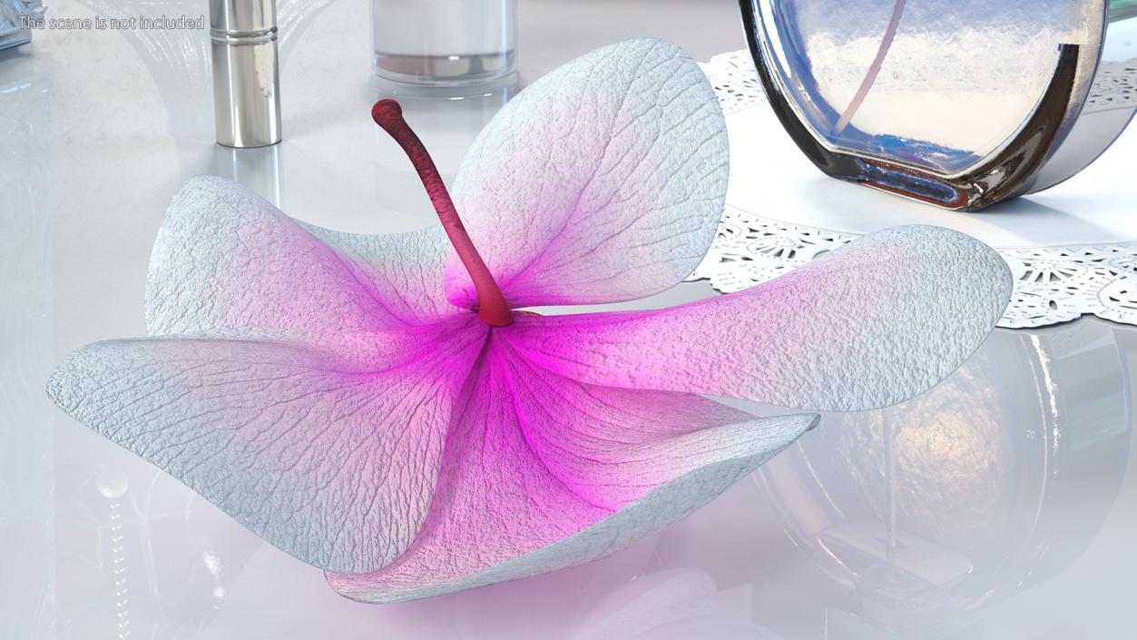 3D model Orchid Flower 2