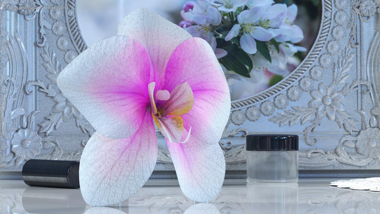 3D model Orchid Flower 2