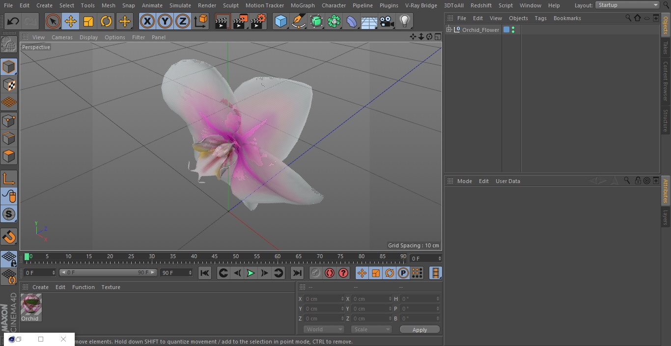 3D model Orchid Flower 2