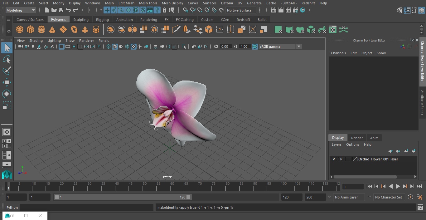 3D model Orchid Flower 2