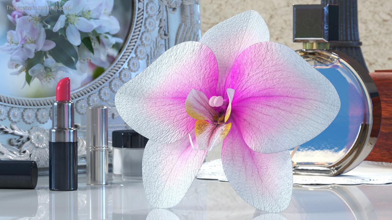 3D model Orchid Flower 2