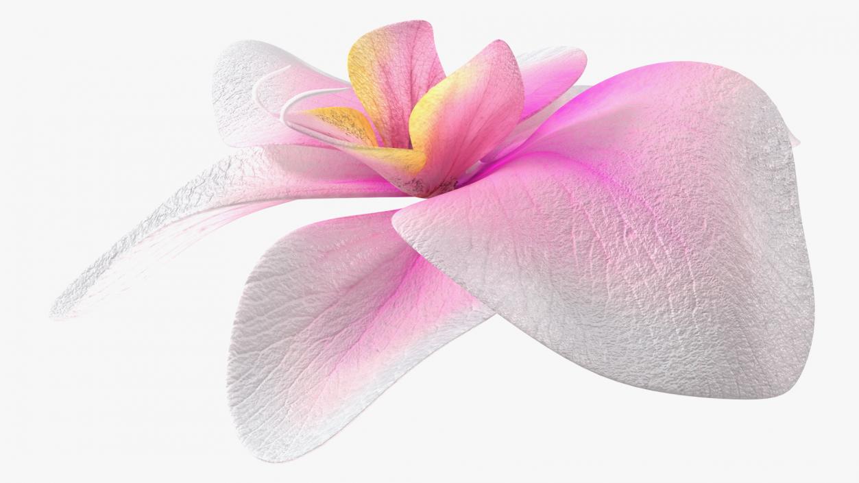 3D model Orchid Flower 2