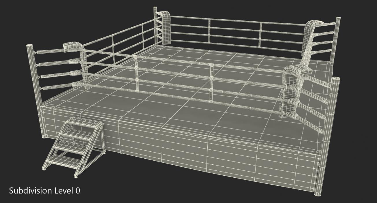 Complete Competition Boxing Ring 3D