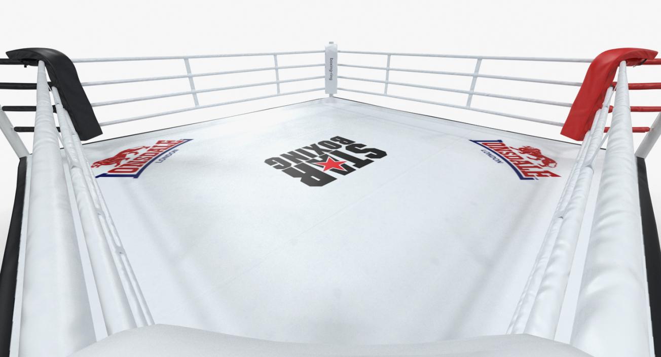 Complete Competition Boxing Ring 3D