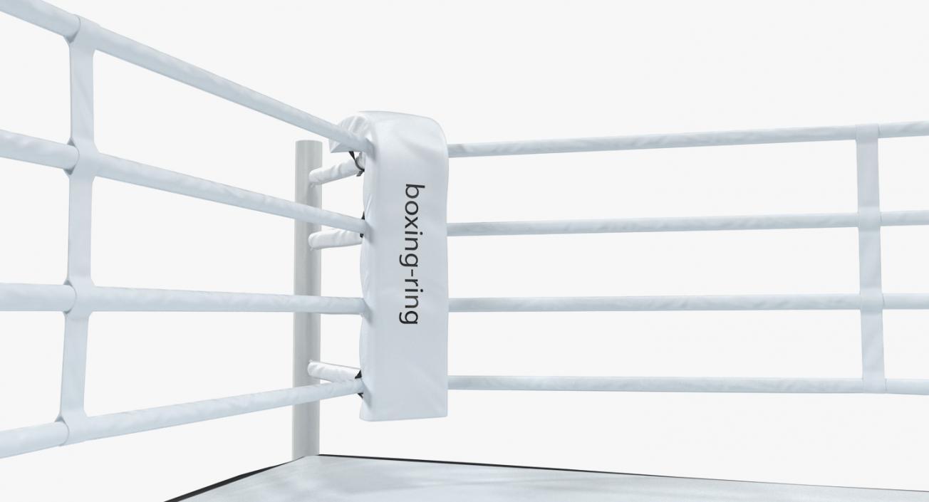 Complete Competition Boxing Ring 3D