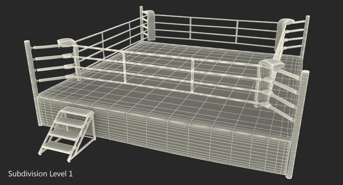 Complete Competition Boxing Ring 3D