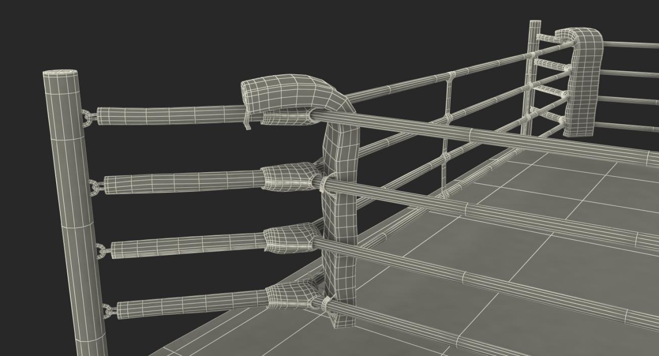 Complete Competition Boxing Ring 3D