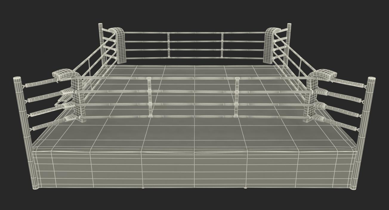 Complete Competition Boxing Ring 3D