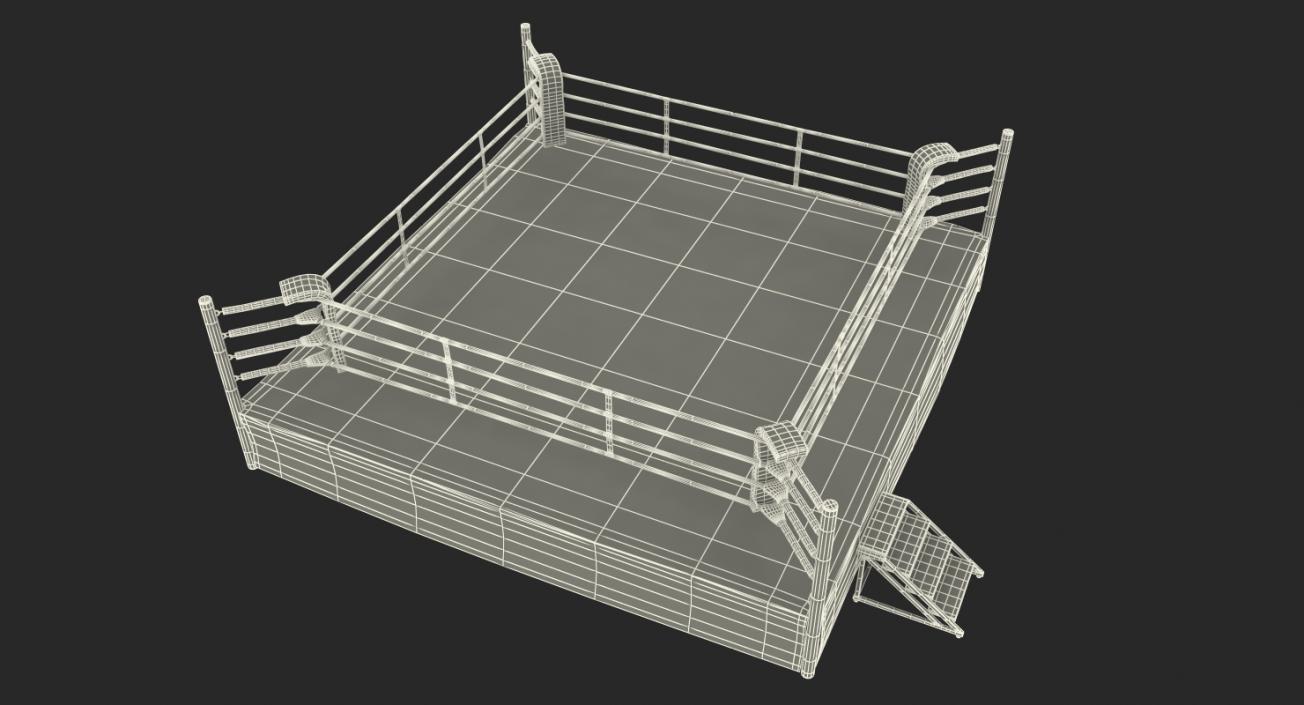 Complete Competition Boxing Ring 3D