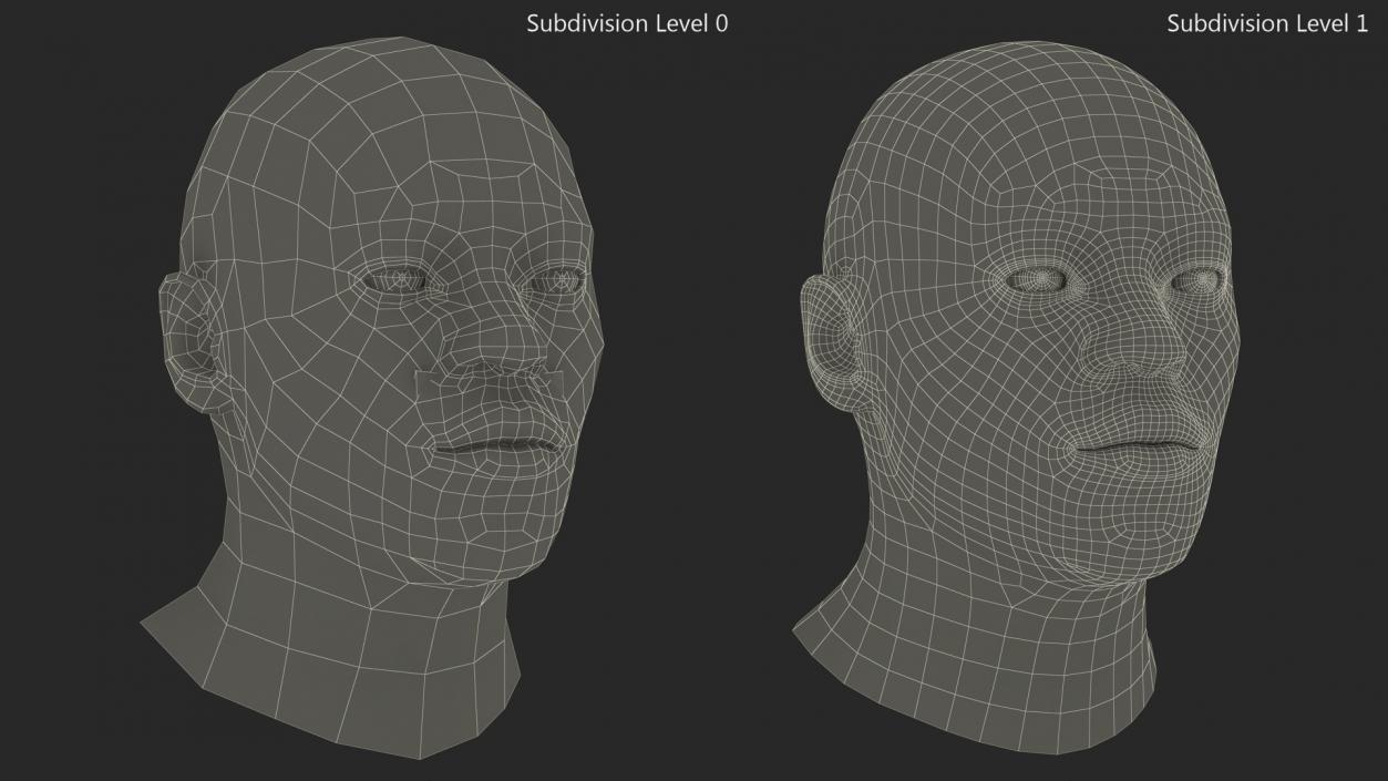 Handsome African American Male Head Rigged 3D