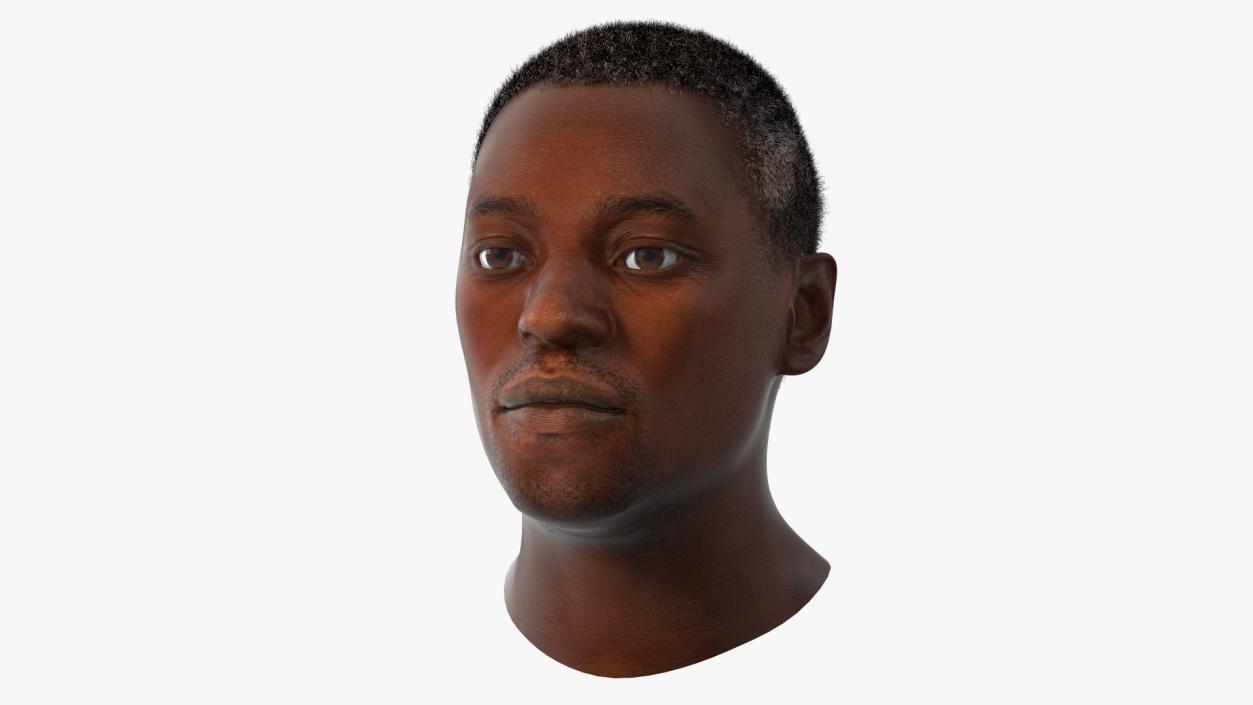 Handsome African American Male Head Rigged 3D