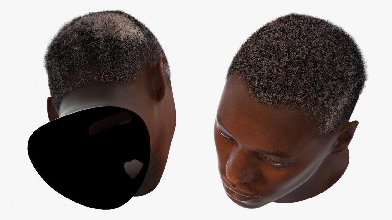 Handsome African American Male Head Rigged 3D