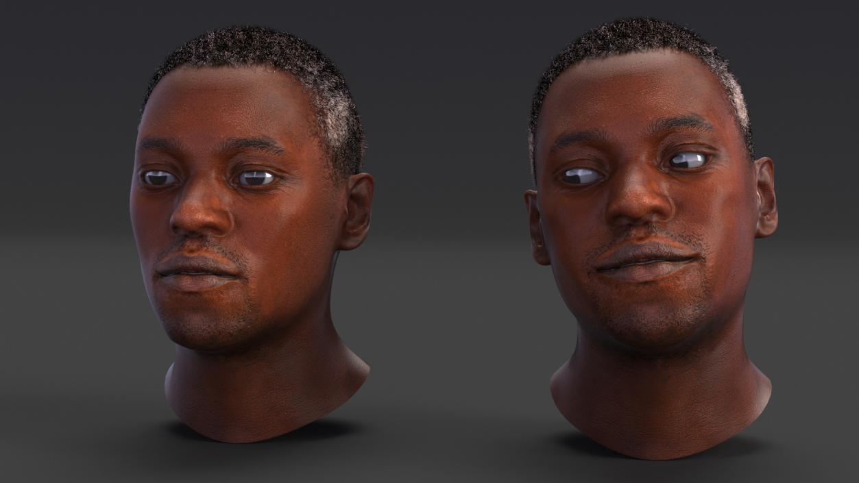 Handsome African American Male Head Rigged 3D