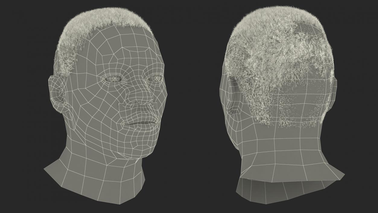 Handsome African American Male Head Rigged 3D