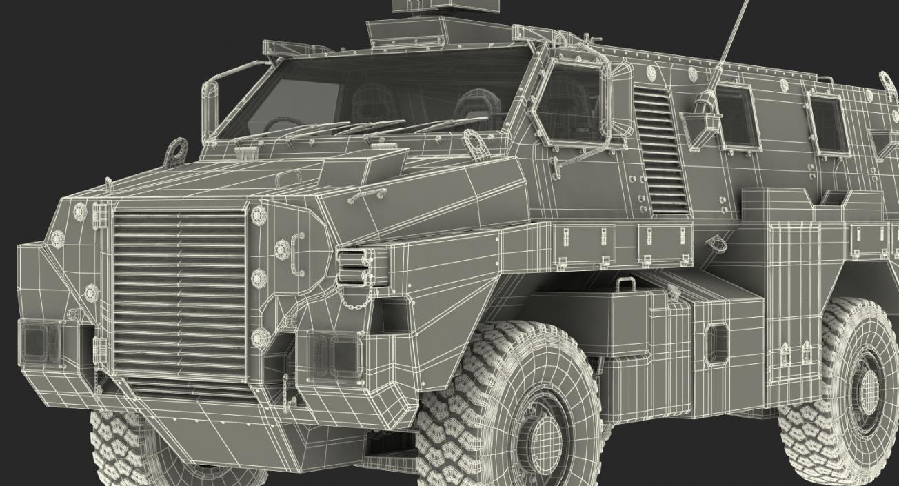 Bushmaster Protected Infantry Vehicle Rigged 3D model