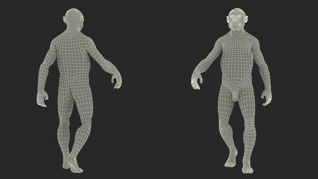 Homo Habilis Walking Pose Fur 3D model