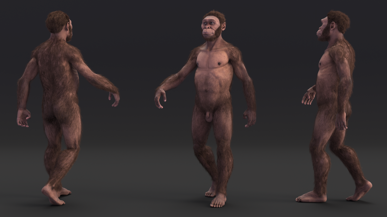 Homo Habilis Walking Pose Fur 3D model