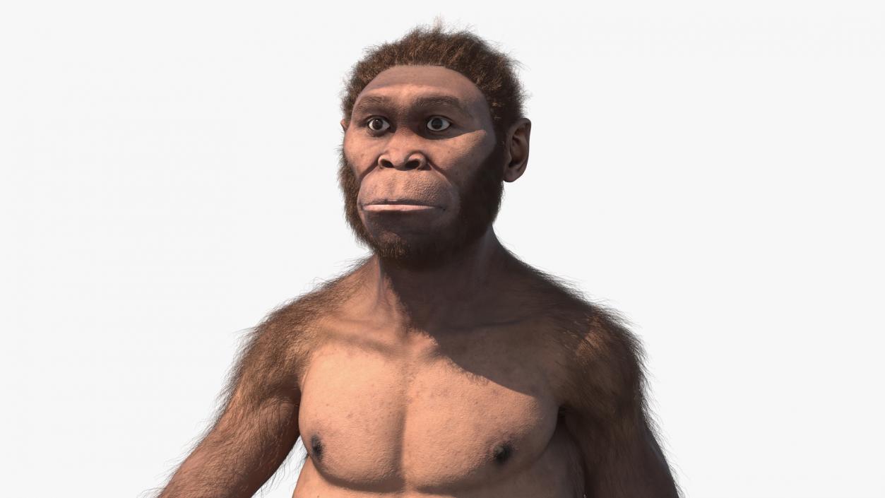 Homo Habilis Walking Pose Fur 3D model