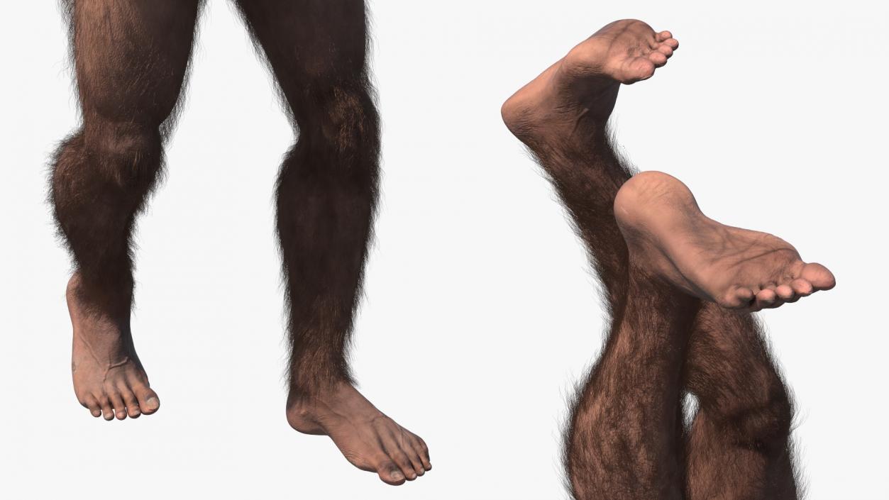 Homo Habilis Walking Pose Fur 3D model