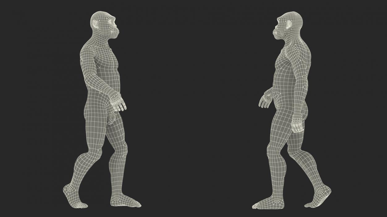 Homo Habilis Walking Pose Fur 3D model