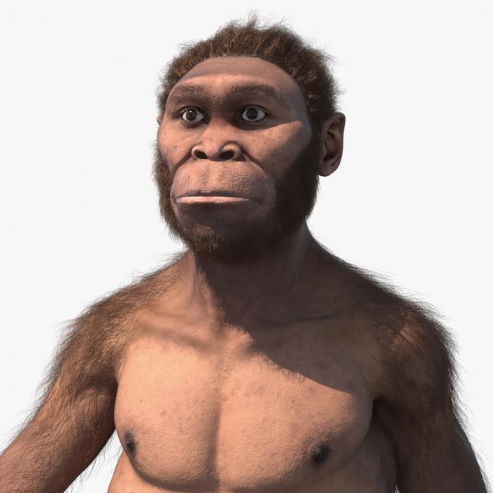 Homo Habilis Walking Pose Fur 3D model