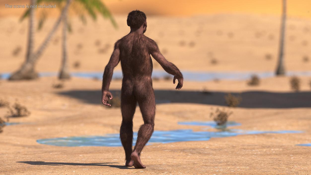 Homo Habilis Walking Pose Fur 3D model