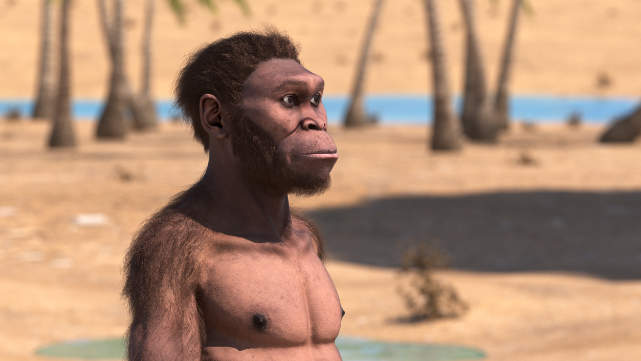 Homo Habilis Walking Pose Fur 3D model