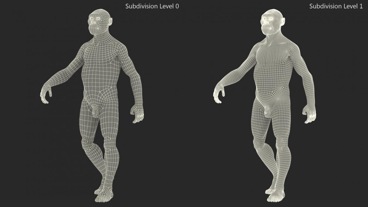 Homo Habilis Walking Pose Fur 3D model