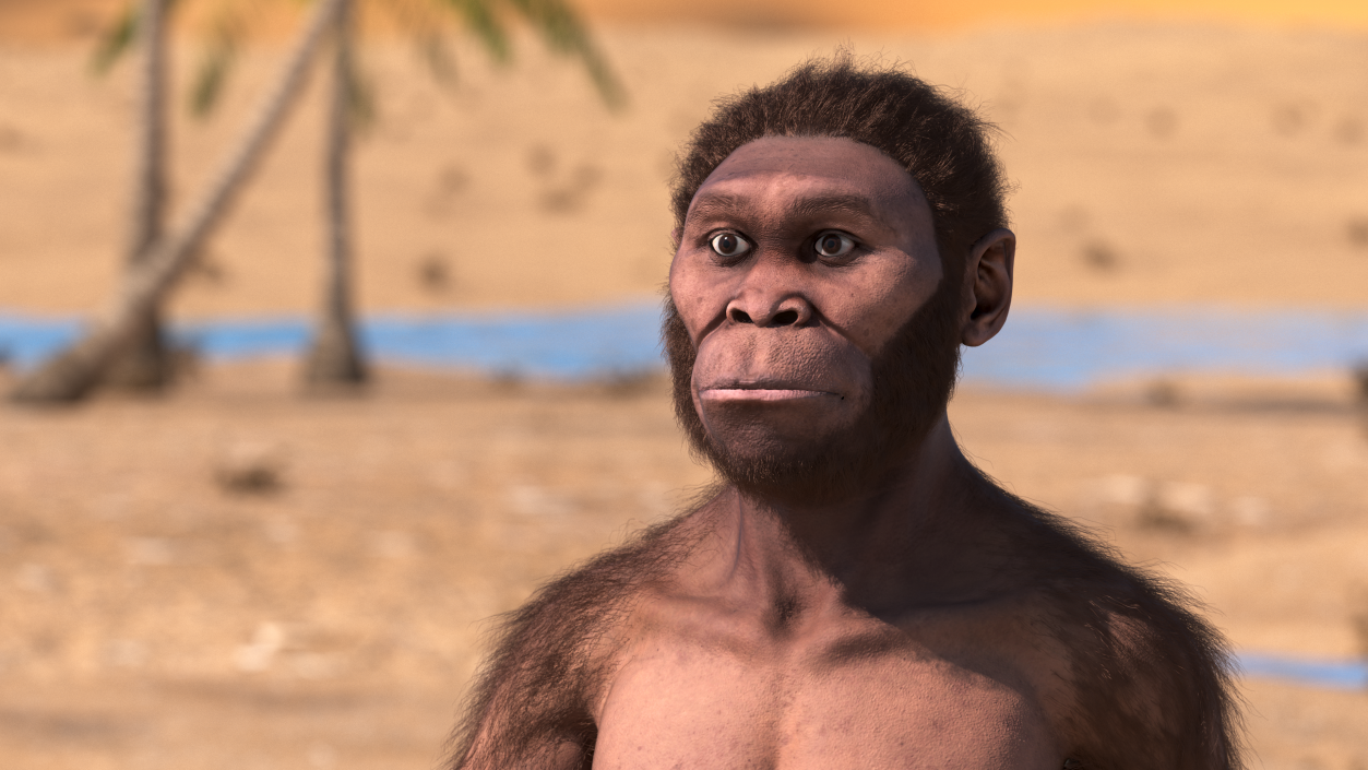 Homo Habilis Walking Pose Fur 3D model