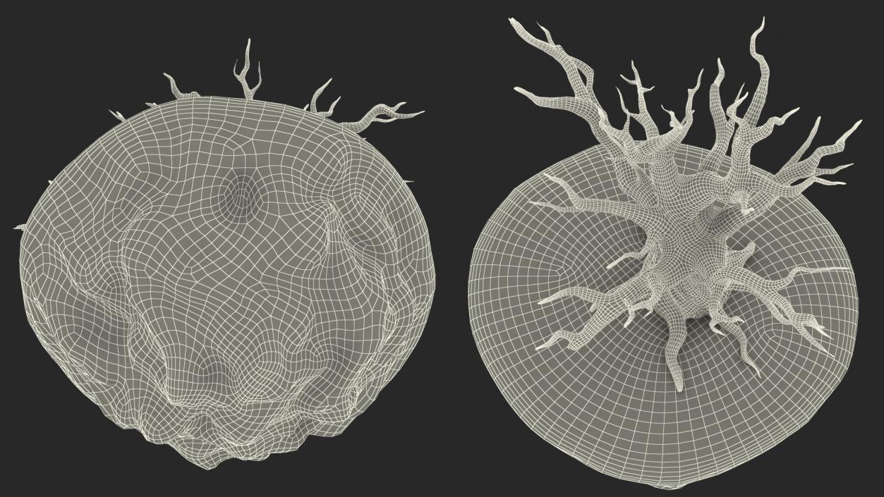 Round Soil Ground Island with Dead Tree 3D model