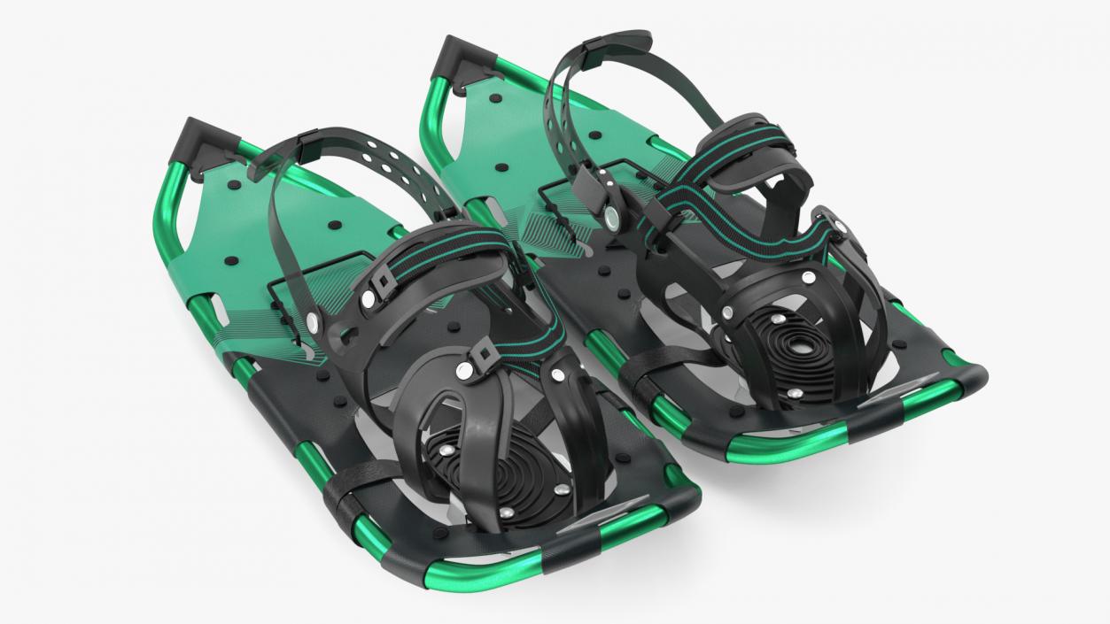 3D All Terrain Snow Shoes Green model