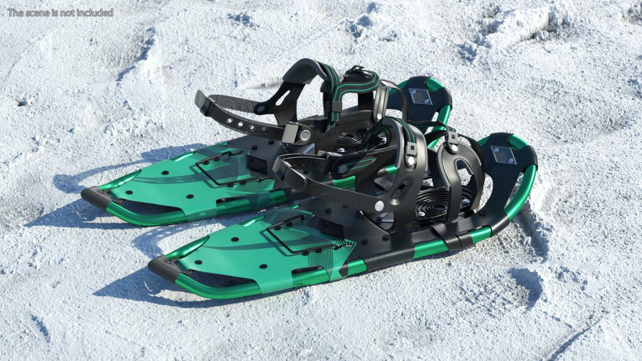 3D All Terrain Snow Shoes Green model